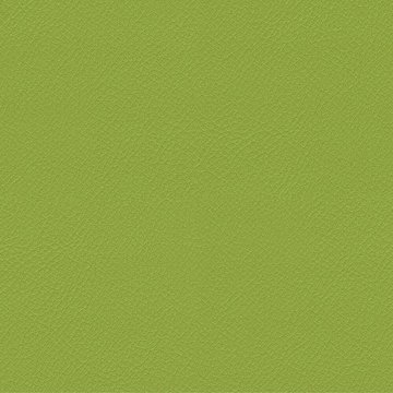 CAMIRA VITA ITA06