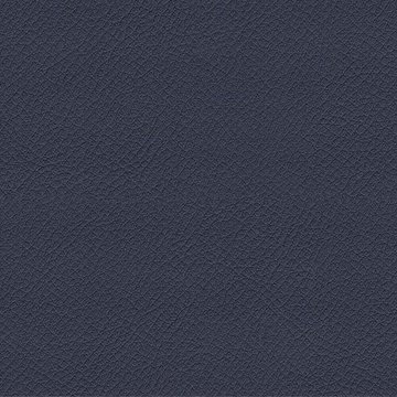 CAMIRA VITA ITA07