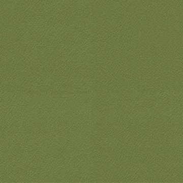 CAMIRA VITA ITA09
