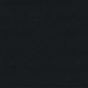 CAMIRA VITA ITA12