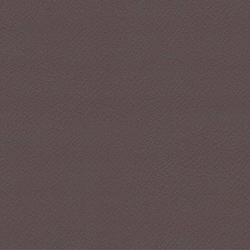 CAMIRA VITA ITA10