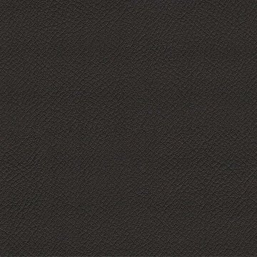 CAMIRA VITA ITA13