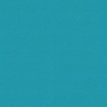 CAMIRA VITA ITA16