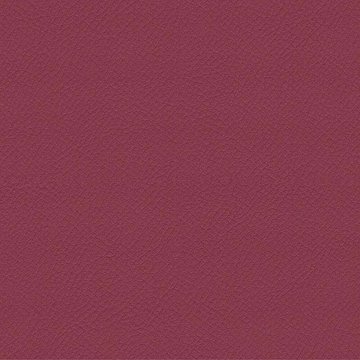 CAMIRA VITA ITA20