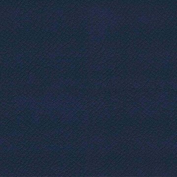 CAMIRA VITA ITA22