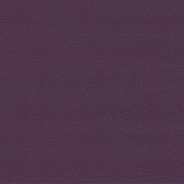 CAMIRA VITA ITA23