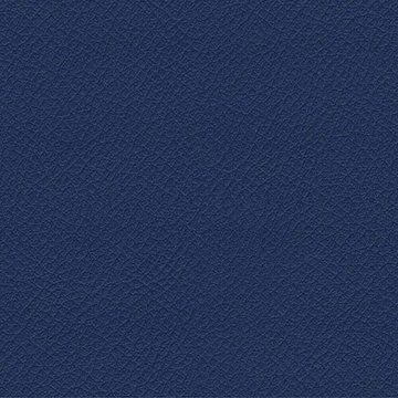 CAMIRA VITA ITA21