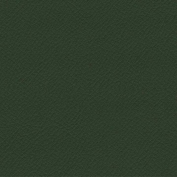 CAMIRA VITA ITA29