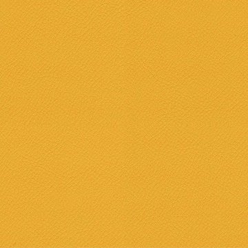CAMIRA VITA ITA33