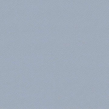 CAMIRA VITA ITA36