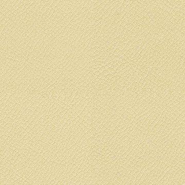 CAMIRA VITA ITA37