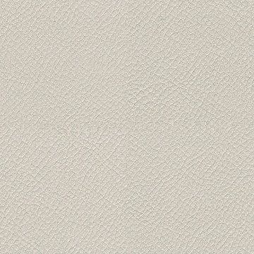 CAMIRA VITA ITA38