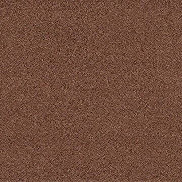 CAMIRA VITA ITA39