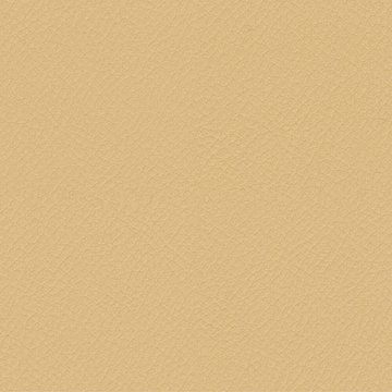 CAMIRA VITA ITA43