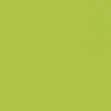 CAMIRA VITA ITA40