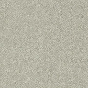 CAMIRA VITA ITA42