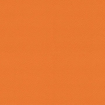 CAMIRA VITA ITA41