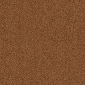 CAMIRA VITA ITA46