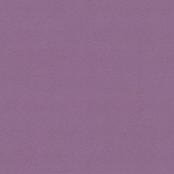 CAMIRA VITA ITA49