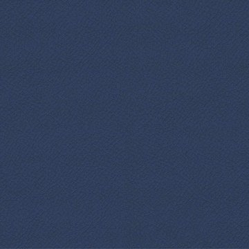 CAMIRA VITA ITA54