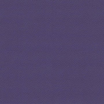 CAMIRA VITA ITA55