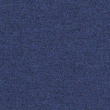 CAMIRA X2 AK009