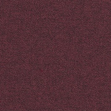 CAMIRA X2 AK012