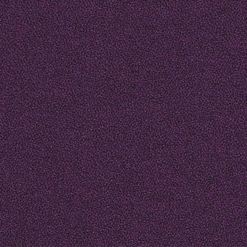 CAMIRA X2 AK011