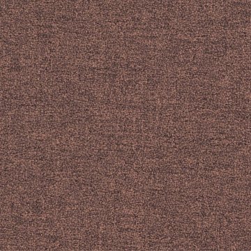 CAMIRA X2 AK038
