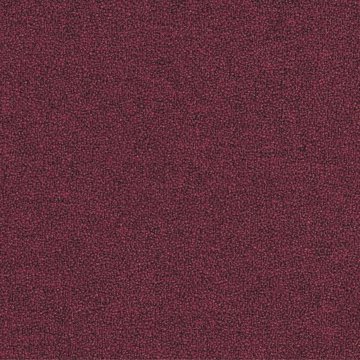 CAMIRA X2 AK041