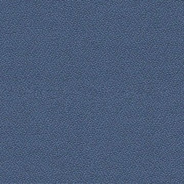 CAMIRA XTREME YS004