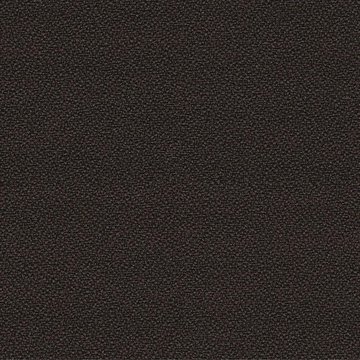 CAMIRA XTREME YS046