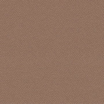 CAMIRA XTREME YS071