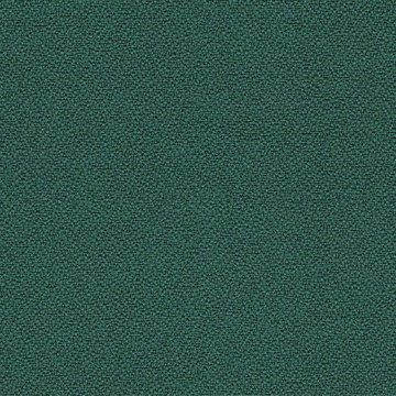 CAMIRA XTREME YS047
