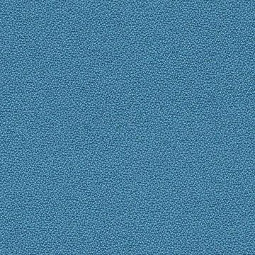 CAMIRA XTREME YS073