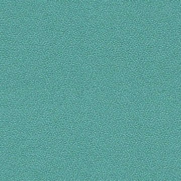 CAMIRA XTREME YS074