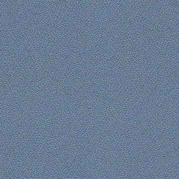 CAMIRA XTREME YS095
