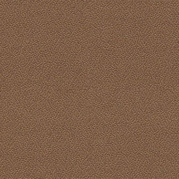 CAMIRA XTREME YS091