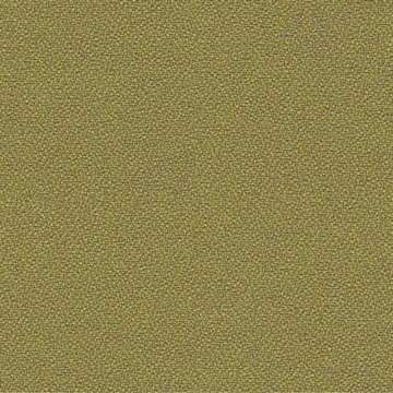 CAMIRA XTREME YS077