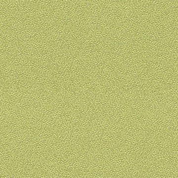 CAMIRA XTREME YS096