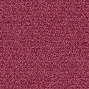 CAMIRA XTREME YS101