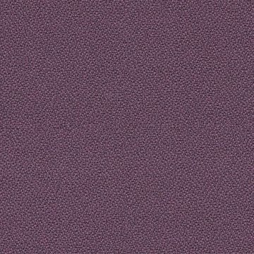 CAMIRA XTREME YS102