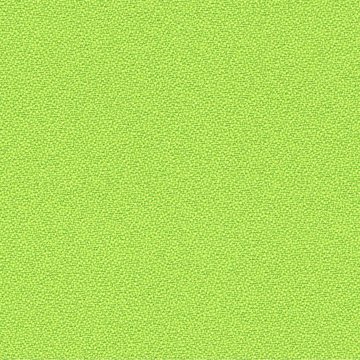 CAMIRA XTREME YS156