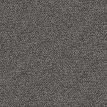 CAMIRA XTREME YS141