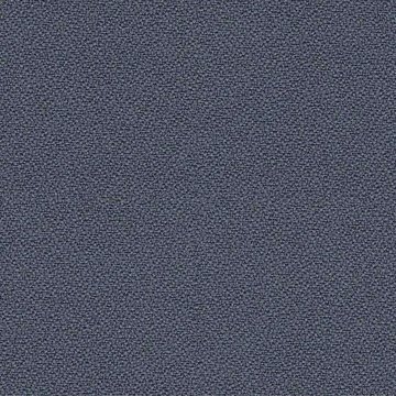 CAMIRA XTREME YS171