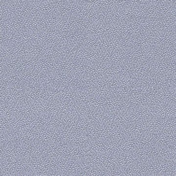 CAMIRA XTREME YS173