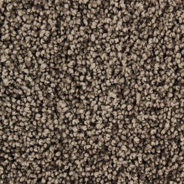 EDEL CHARISMA 283 COFFEE