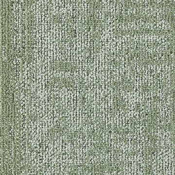 MILLIKEN MAJOR FREQUENCY 2.0 TB DTN240