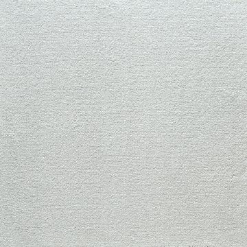 EDEL MILA 119 Mycelium