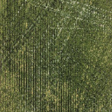 MILLIKEN COASTLINE LANDSCAPE TB LND141